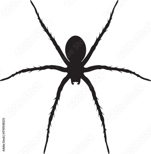 Black Silhouette of a Spider from Above, Top View Vector Icon of a Creepy Arachnid, Halloween Wolf Spider Illustration