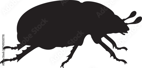 Side profile black silhouette of a scarab beetle. Vector illustration of a dung beetle or related species