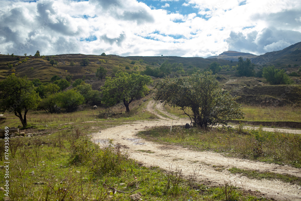 Naklejka premium Beautiful summer mountain rural landscape. Panorama of summer green field with dirt road and Sunset cloudy sky. Trekking tourists, camping ground.