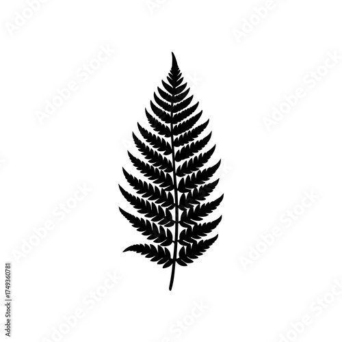 Silhouette of a fern plant frond art