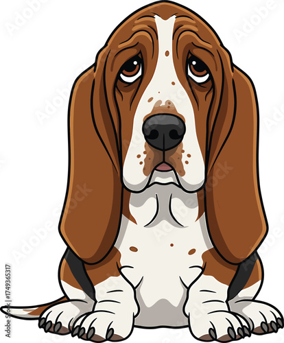 Basset Hound Breed Illustrations for clipart Dog white color background 
