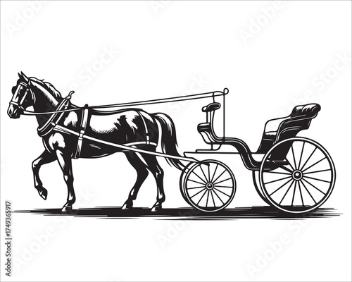 Retro transport illustration of horse pulling a classic open carriage.
