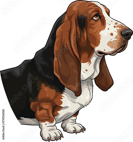 Basset Hound Breed Illustrations for clipart Dog white color background 
