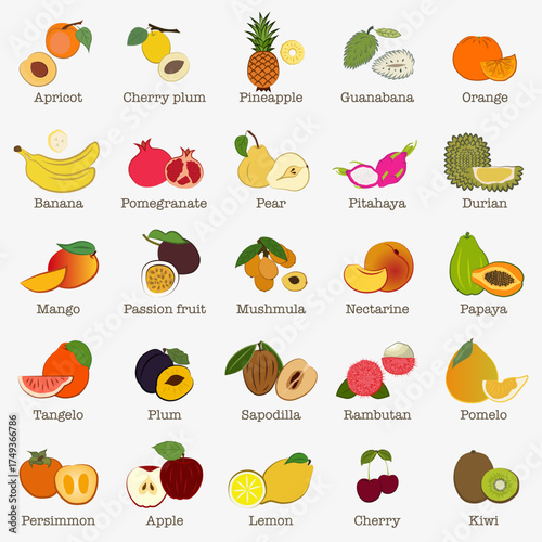 Set of illustrations Tropical and garden fruits. A set of fruits ranging from tropical to common garden fruits.
