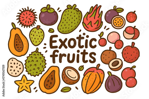 Colorful Exotic Fruits. Exotic fruits. Hand-drawn doodle illustration of Exotic fruits. rambutan, mangosteen,