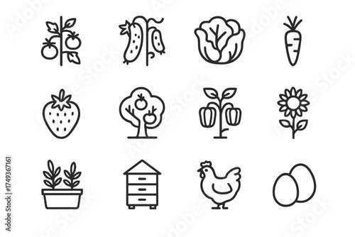 Urban Farm Icon Set. Urban farms. Line outline icon set of Urban farms: tomato plant, cucumber vine, lettuce