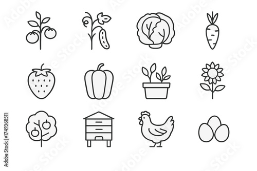 Urban Farming Icons. Urban farming. Line outline icon set of Urban farming: tomato plant, cucumber vine,