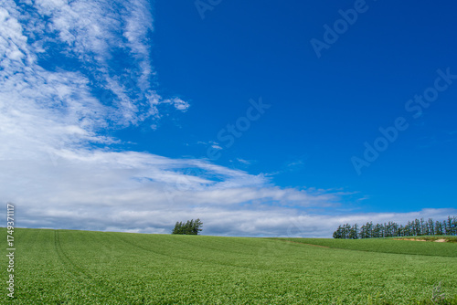 Wallpaper Mural Green fields on the hills and blue summer sky Torontodigital.ca