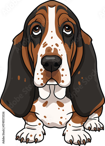 Basset Hound Breed Illustrations for clipart Dog white color background 
