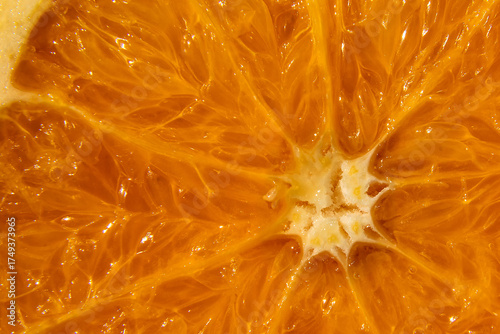 Macro of orange slice with texture detail