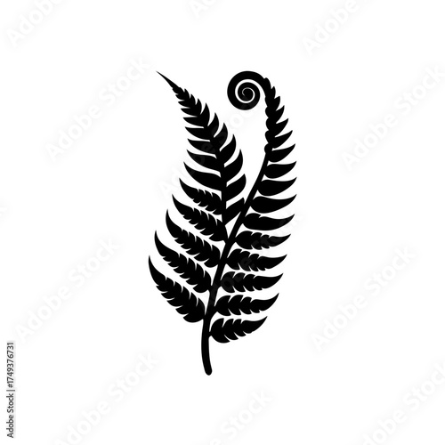 Silhouette of a fern with unfurling
