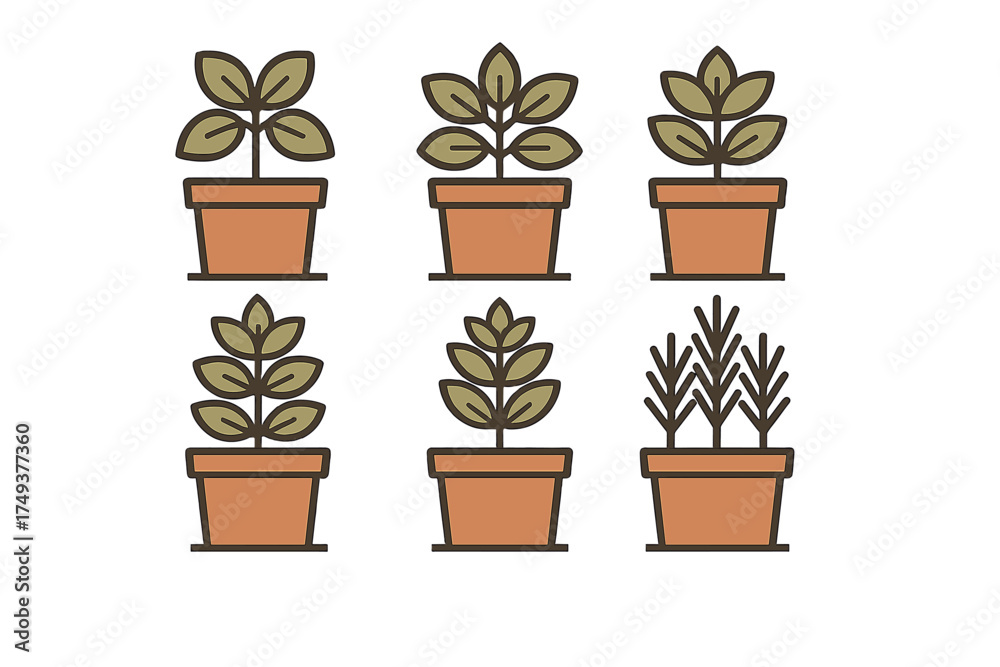 Obraz premium Set of various small green potted plants and seedlings in terracotta containers