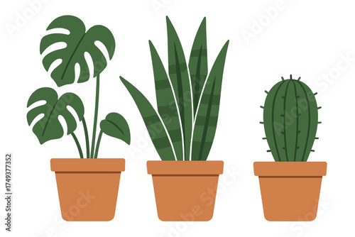 Stylized collection of potted indoor houseplants including Monstera and Cactus