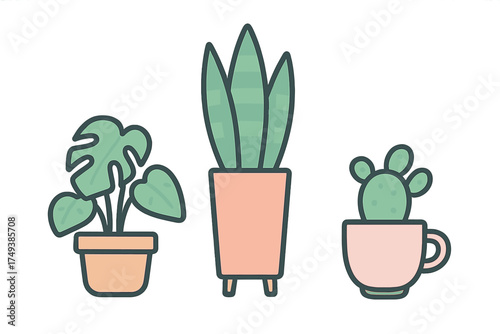 Indoor houseplant collection featuring Monstera, Sansevieria, and cactus in decorative pots