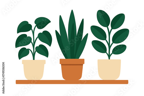 Collection of three stylized indoor houseplants in decorative pots sitting on a wooden shelf