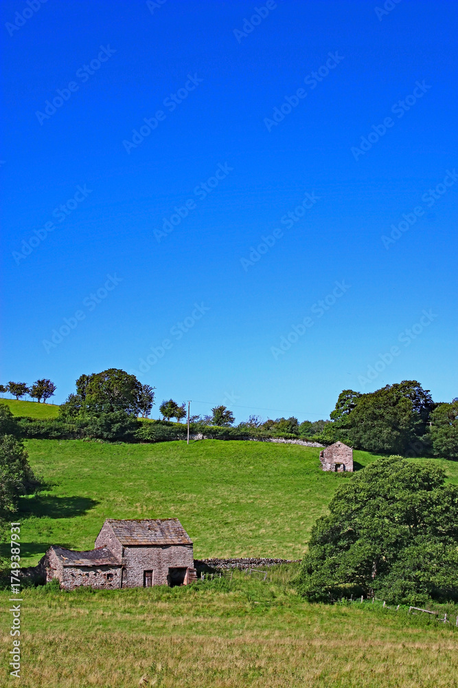 Obraz premium Cumbrian farmland landscape