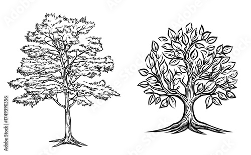 The tree's silhouette features intricate branches and roots, highlighting the complexity of nature's design
