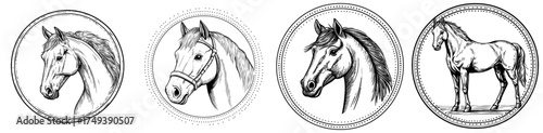 A circular emblem contains the silhouette of a galloping horse, symbolizing strength and freedom