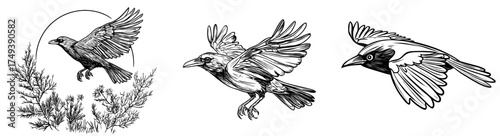 The image of a bird soaring through the air with outstretched wings embodies the essence of freedom and elegance