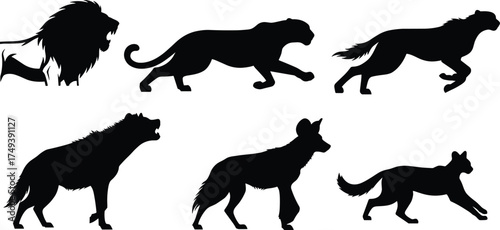 Wild animal predator silhouettes set, lion panther cheetah hyena wild dog cougar vector illustration, African wildlife hunting nature design
