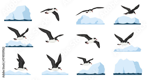 Antarctic seabirds flying near icebergs in a repeating pattern