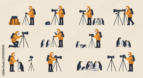 Flat illustration of an arctic photographer capturing images of various penguin groups