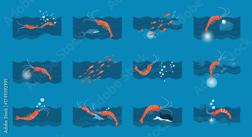 Twelve blue panels showing orange shrimp interacting with water light and other sea creatures