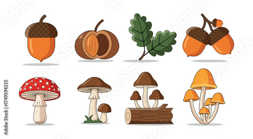 Cute Handdrawn Autumn Forest Elements Mushroom Acorn Oak Leaf Illustration