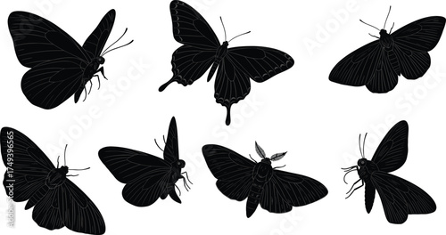 Butterfly and moth silhouettes collection with detailed wings, insect diversity, entomology illustration, black vector insects isolated on white background