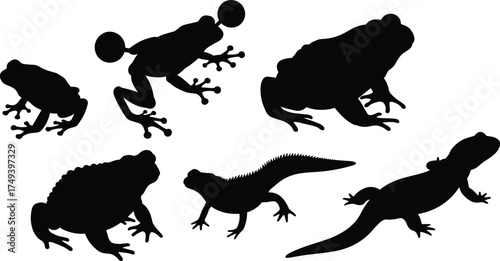 Black silhouettes of frogs, toads, and lizard reptiles isolated on white background, amphibian wildlife vector illustration for biology and nature design