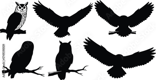 Black owl silhouettes collection with flying and perched birds, wildlife nocturnal animals, vector illustration set for nature, forest, Halloween themes