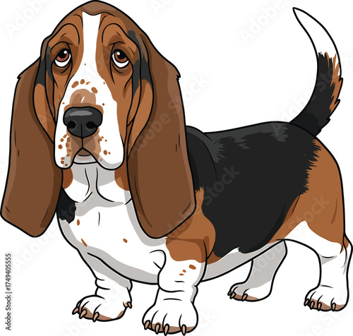 Basset Hound Vector Art of a Dog Breed Illustrations Collection with clipart