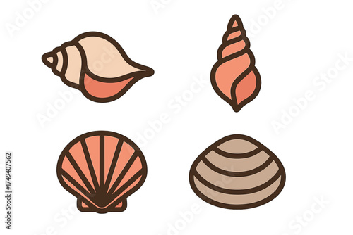 Various marine seashells and mollusks collection isolated on white background for summer design