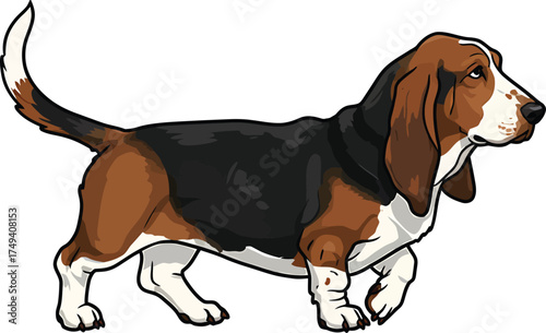 Basset Hound Vector Art of a Dog Breed Illustrations Collection with clipart