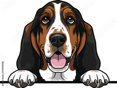 Basset Hound Vector Art of a Dog Breed Illustrations Collection with clipart
