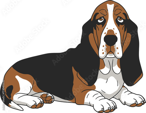 Basset Hound Vector Art of a Dog Breed Illustrations Collection with clipart
