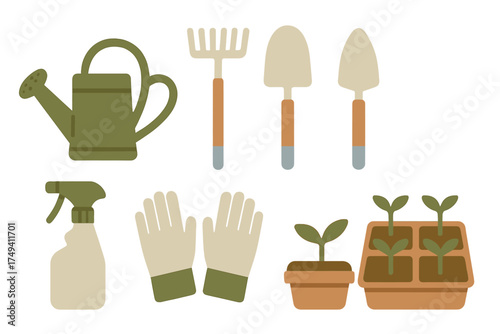 Essential gardening tools and young plant seedlings ready for spring planting