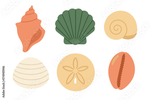 Assortment of colorful ocean seashells including conch, scallop, cowrie, and sand dollar shapes