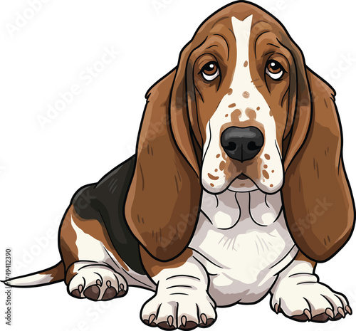 Basset Hound Vector Art of a Dog Breed Illustrations Collection with clipart