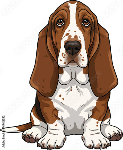 Basset Hound Vector Art of a Dog Breed Illustrations Collection with clipart