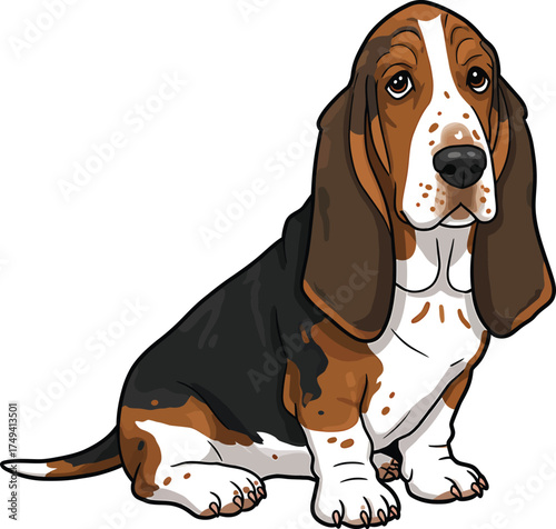 Basset Hound Vector Art of a Dog Breed Illustrations Collection with clipart