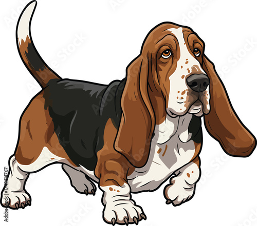 Basset Hound Vector Art of a Dog Breed Illustrations Collection with clipart