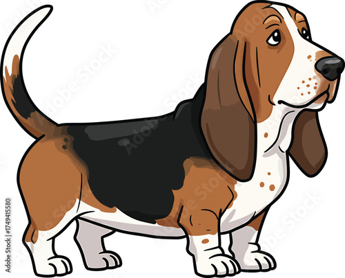 Basset Hound Vector Art of a Dog Breed Illustrations Collection with clipart