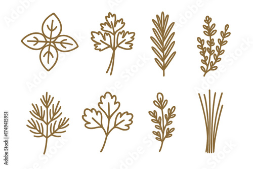 Outline icons set of culinary herbs and aromatic spices for cooking and seasoning