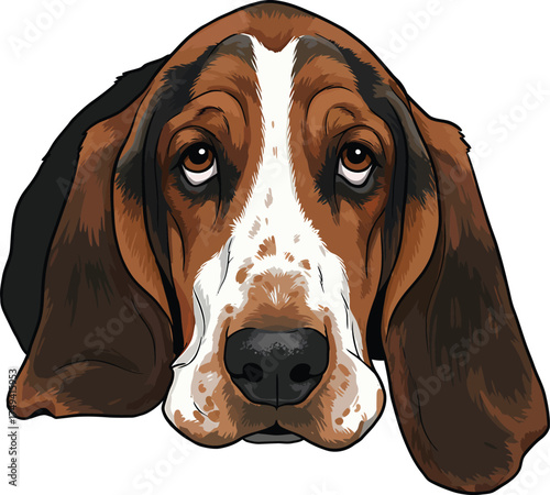 Basset Hound Vector Art of a Dog Breed Illustrations Collection with clipart