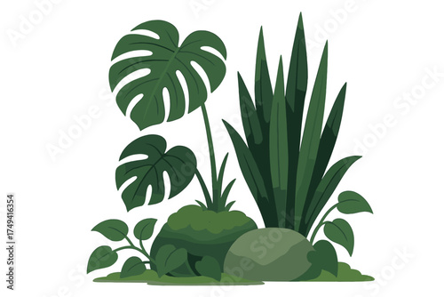 Lush tropical houseplant arrangement with Monstera leaves, snake plants, moss, and rocks