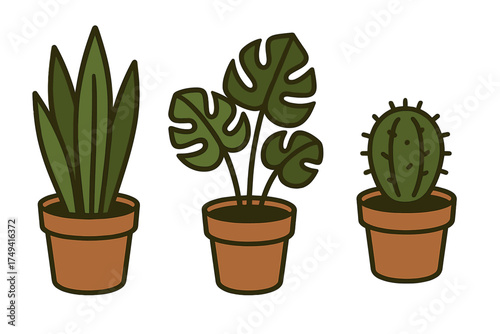Set of three popular potted house plants: snake plant, monstera, and cactus