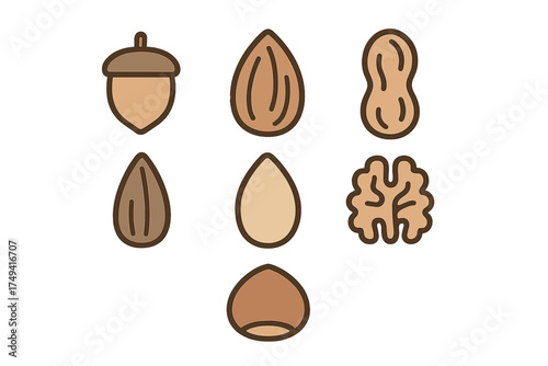 Assortment of popular edible nuts and seeds including walnut, almond, peanut, and acorn