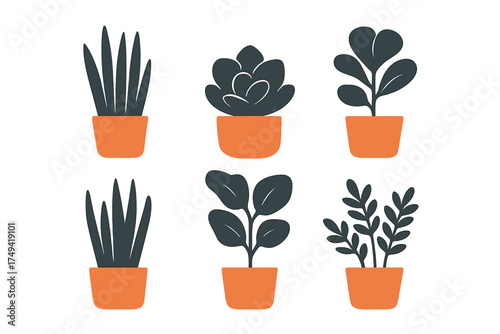Six stylized potted house plants in dark green and orange terracotta containers