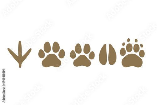 Set of various animal tracks and paw prints icons